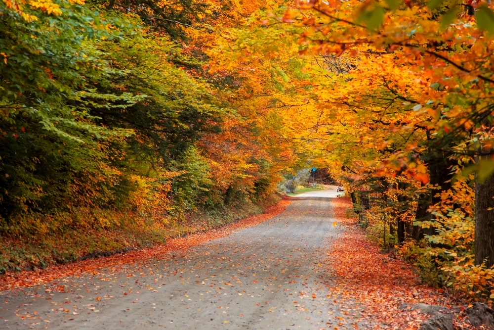 Pep Boys banner image of vermont